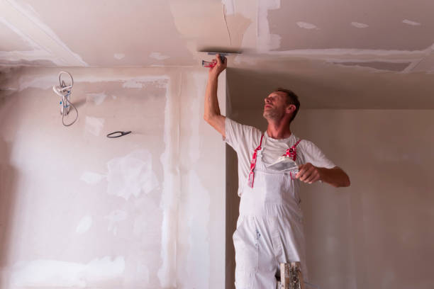 Best Ceiling Drywall Installation  in Bradner, OH